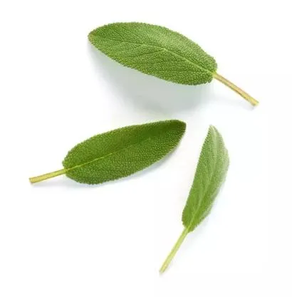 STRONGER WITH YOU HEV - Perfume Masculino